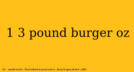 1 3 pound burger oz