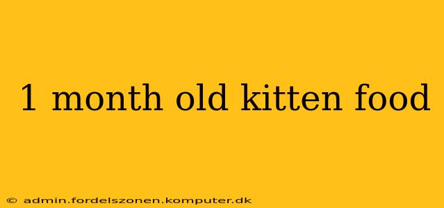 1 month old kitten food