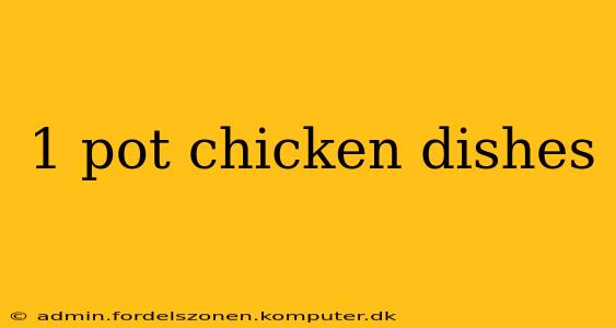 1 pot chicken dishes
