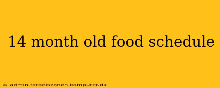 14 month old food schedule