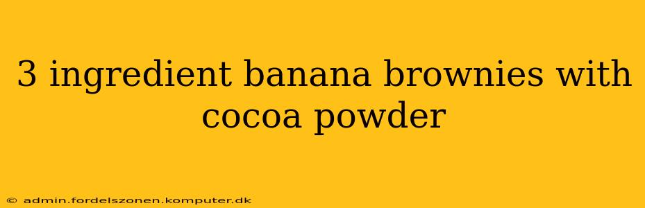 3 ingredient banana brownies with cocoa powder