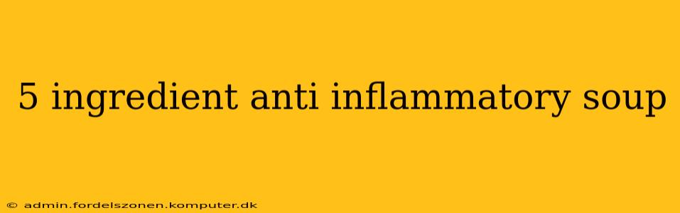 5 ingredient anti inflammatory soup