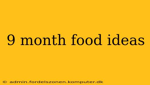 9 month food ideas
