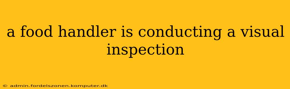 a food handler is conducting a visual inspection