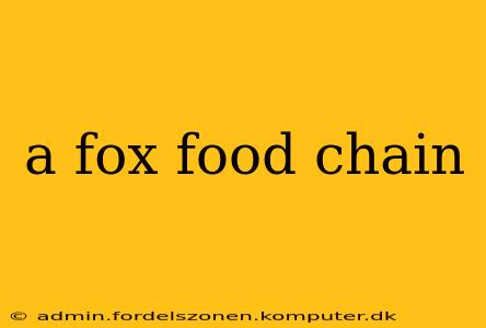 a fox food chain