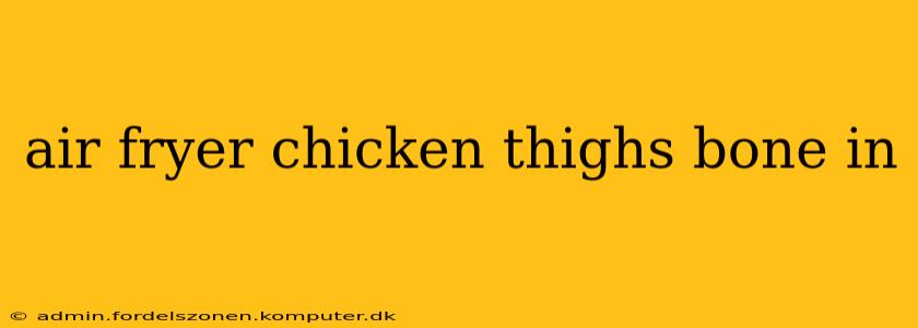 air fryer chicken thighs bone in
