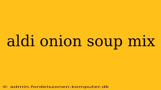 aldi onion soup mix