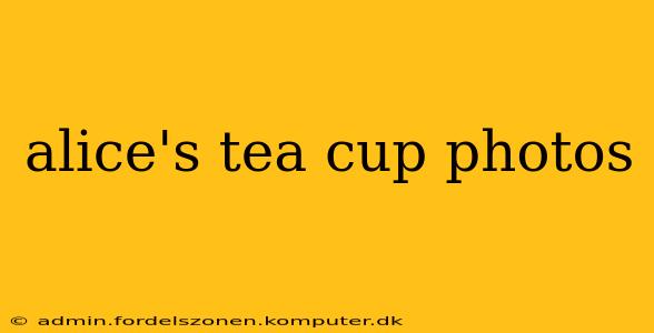 alice's tea cup photos