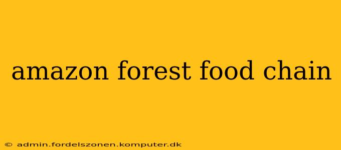 amazon forest food chain