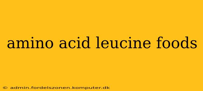 amino acid leucine foods