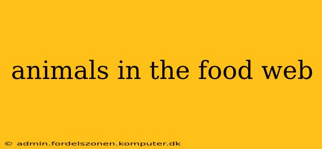 animals in the food web