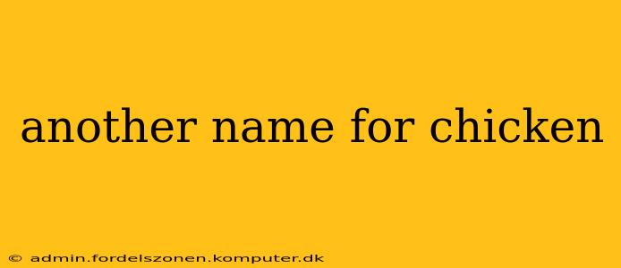 another name for chicken