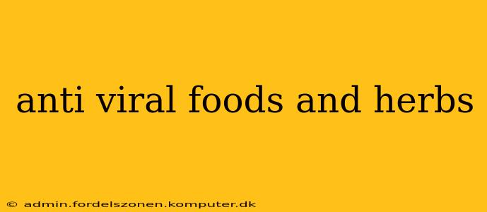 anti viral foods and herbs