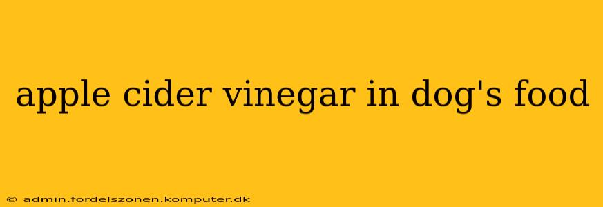 apple cider vinegar in dog's food