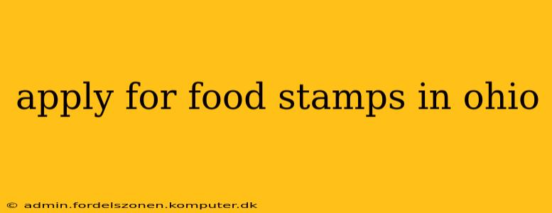 apply for food stamps in ohio