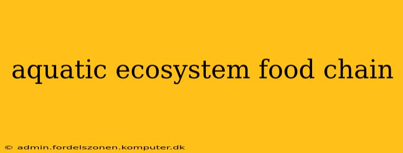 aquatic ecosystem food chain