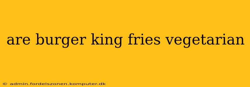 are burger king fries vegetarian