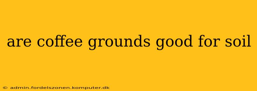 are coffee grounds good for soil