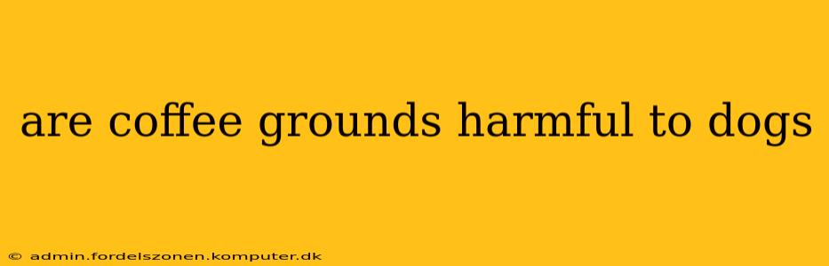 are coffee grounds harmful to dogs