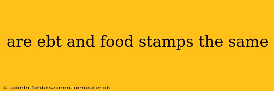 are ebt and food stamps the same