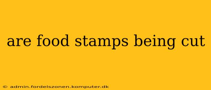 are food stamps being cut