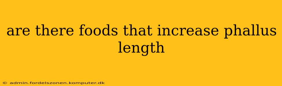 are there foods that increase phallus length