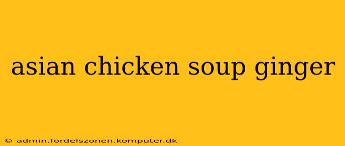 asian chicken soup ginger