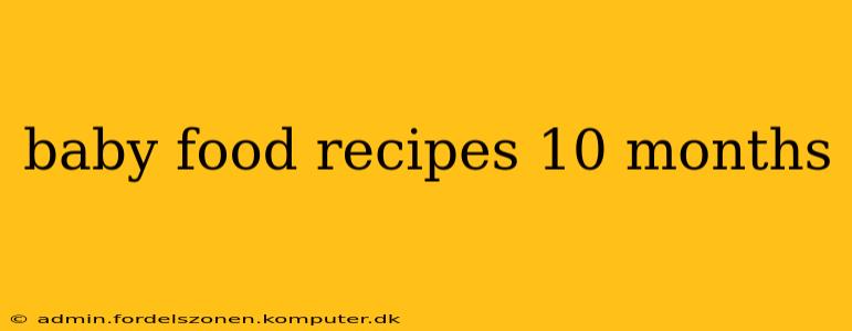 baby food recipes 10 months