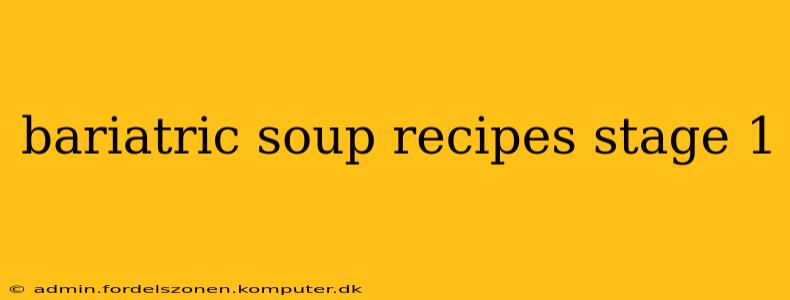 bariatric soup recipes stage 1