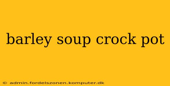 barley soup crock pot