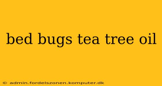 bed bugs tea tree oil