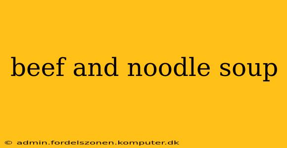 beef and noodle soup