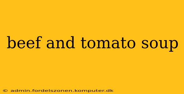 beef and tomato soup