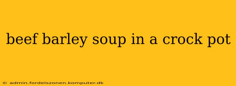 beef barley soup in a crock pot