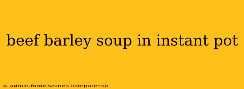 beef barley soup in instant pot