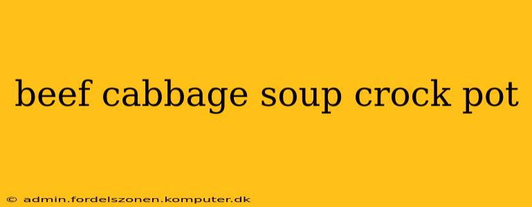 beef cabbage soup crock pot