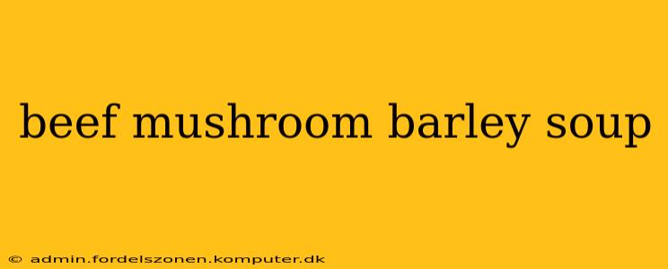 beef mushroom barley soup