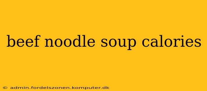 beef noodle soup calories