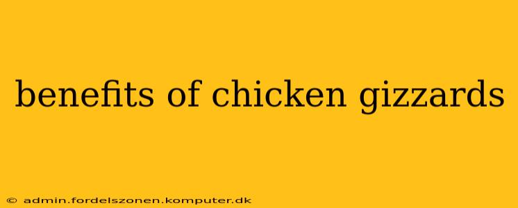 benefits of chicken gizzards