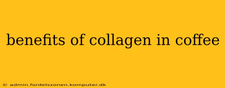 benefits of collagen in coffee