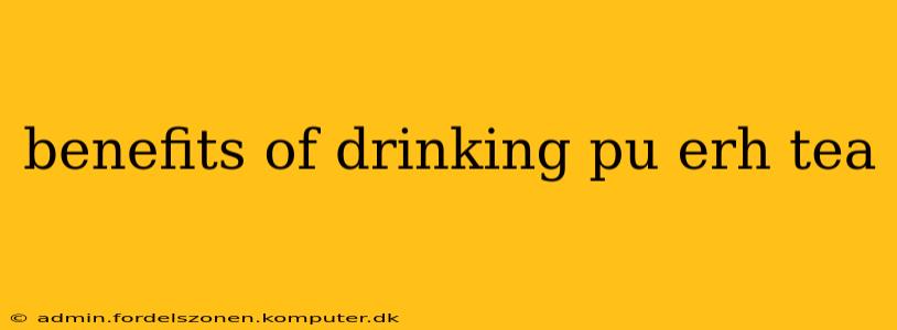 benefits of drinking pu erh tea