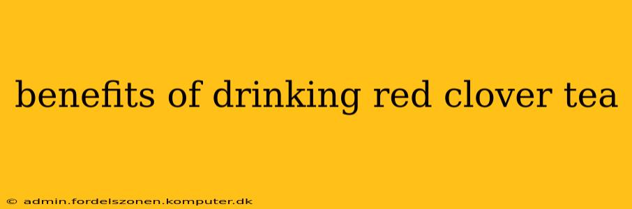 benefits of drinking red clover tea