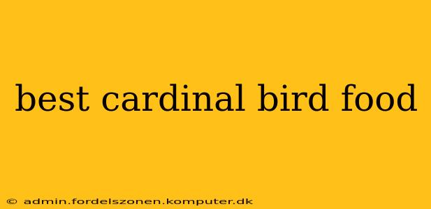best cardinal bird food