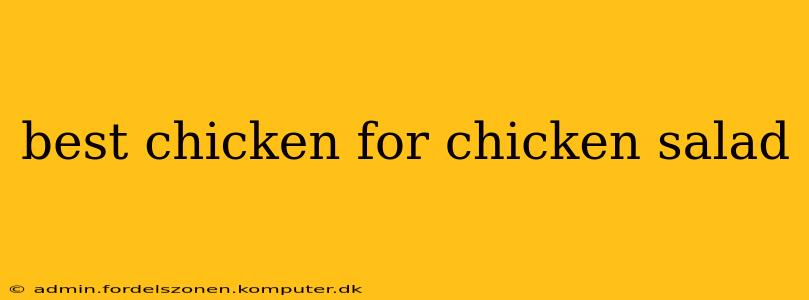 best chicken for chicken salad