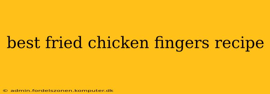 best fried chicken fingers recipe