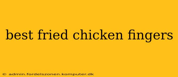 best fried chicken fingers