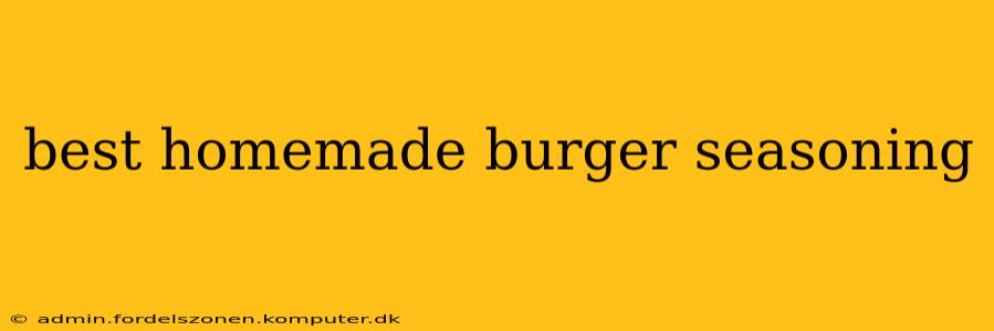 best homemade burger seasoning