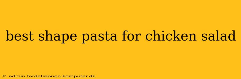 best shape pasta for chicken salad