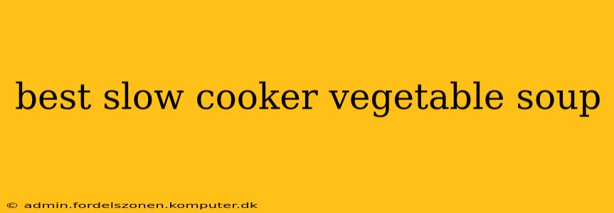 best slow cooker vegetable soup