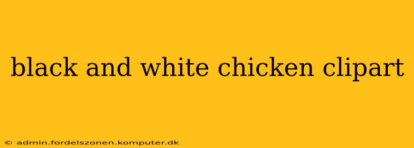 black and white chicken clipart